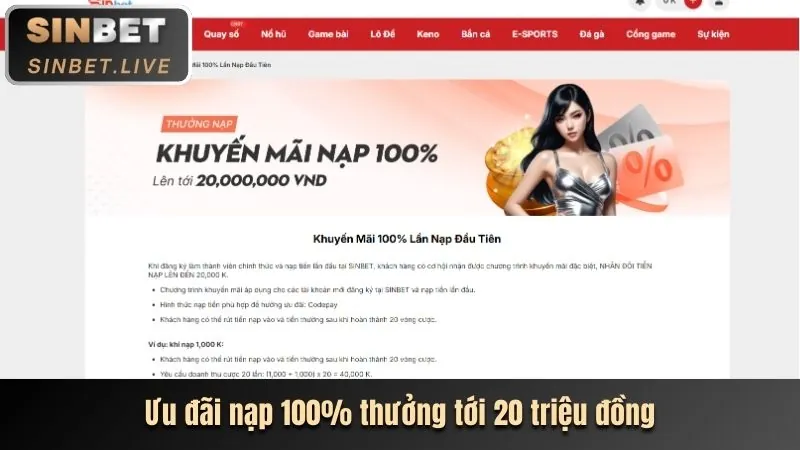 Hướng dẫn cá cược thể thao trực tiếp